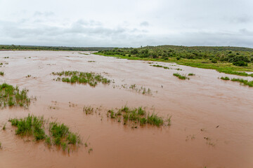 The Olifants river in full flow after heavy rains in the Kruger Park, South Africa.