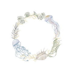 round sea corolla with jellyfish and algae