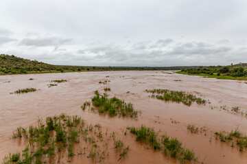 The Olifants river in full flow after heavy rains in the Kruger Park, South Africa.