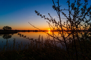 Silhouette of a tree against the backdrop of a beautiful sunset over the water