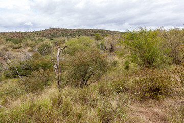 The lookout view at Orpen dam, Kruger park, South Africa.