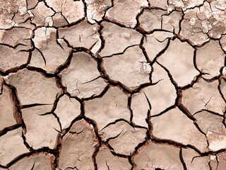 dry cracked earth