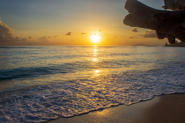 Sunset in Silhouette