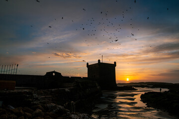 sunset over the sea from essaouira