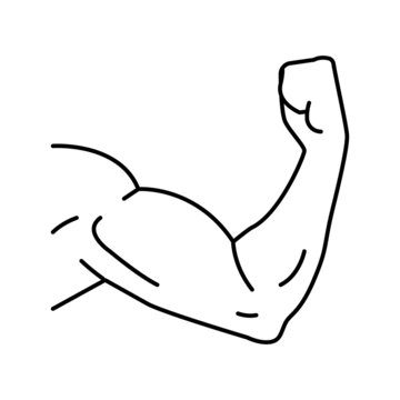 arm muscle line icon vector illustration