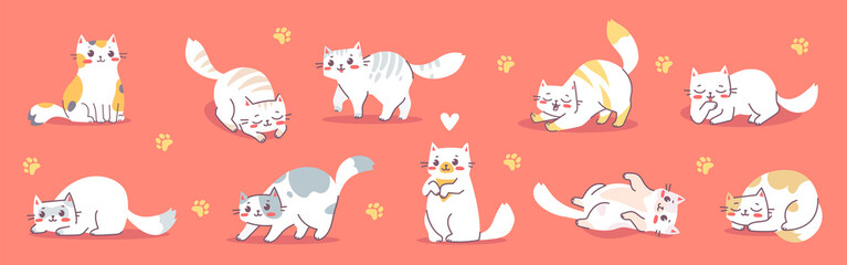 Vector set of illustration with happy cute white cat character on red color background. Flat line art style design of group of animal cat in different pose