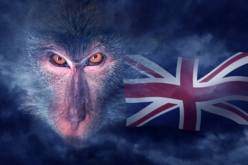 Wicked monkey portrait