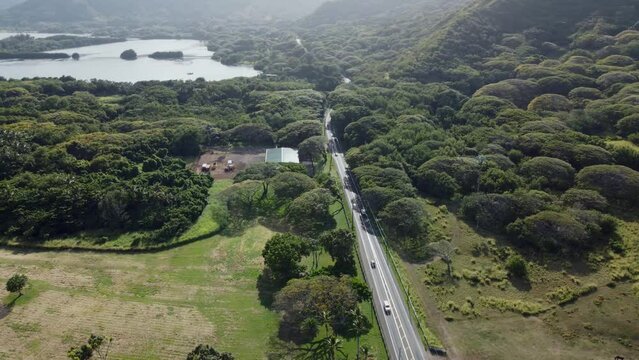 4K clockwise cinematic drone shot of cars driving down a road with a pond in the background near the coast of Oahu's North Shore. This stunning Hawaiian scene was filmed using a DJI Mini 2 drone.