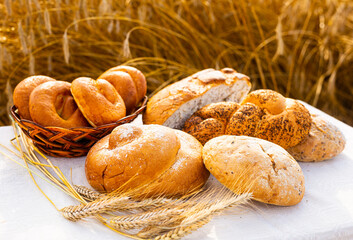 lot of different flavored bread, wheat, rye, on the table in the field outside