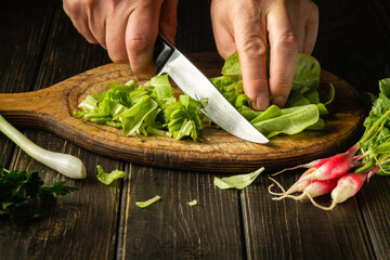 Close-up of a chef hands cutting green lettuce leaves on a cutting board with a knife for preparing...