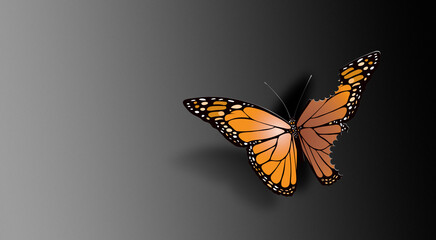 Fototapeta na wymiar Beautiful butterfly with bitten wings conceptual graphic background
