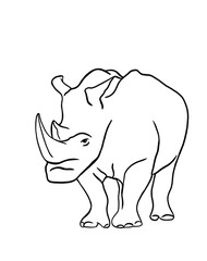 Rhino one line drawing	