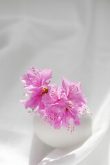 pink azalea flower in a vase