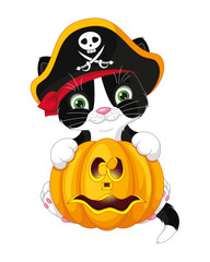 Cat pirate for halloween with pumpkin. Cartoon vector illustration