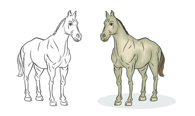 Animals. Black-and-white and color image of a horse, coloring book for children.
Vector image.