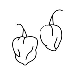 pepper habanero line icon vector illustration