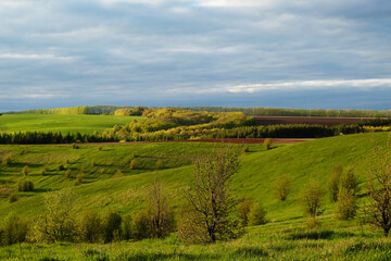 Fototapeta na wymiar Beautiful landscape of expanses of green hills. Tatarstan, Russia