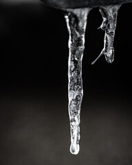 icicles on black background