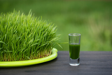 Healthy organic green detox juice from grass of green germinated wheat grains, close up