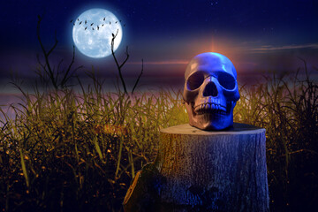  Skull on a stump on Halloween night.
