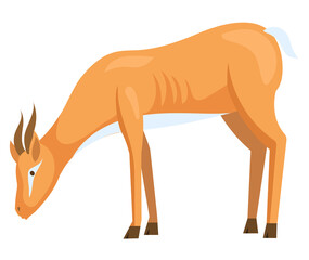Cute deer with antlers, artiodactyl animal with horns. Standing antelope side view. Cartoon style drawing wild forest herbivorous animal. Gazelle zoo and nature concept, brown springbok, hoofed mammal