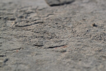 Fototapeta na wymiar Grunge rough cement texture, rustic wall surface