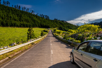 Fototapeta premium Traditional road with a car side and the green landscape and blue cloudy sky in the island of São Miguel in the Azores.