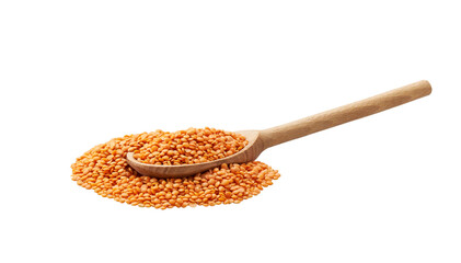 red lentils crumble from a wooden spoon isolated on white background.