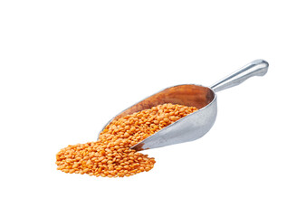Small metal spoon or scoop with red lentils seen isolated on white background.