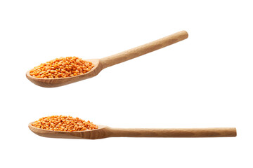 wooden spoon with red lentils isolated on white background.