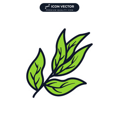bay leaves icon symbol template for graphic and web design collection logo vector illustration