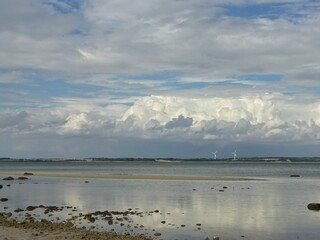 Unadulterated waterscape of Baltic sea with scenic sandbank with rocks in water and cloud reflection on water surface and wind turbines in background 