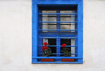 Fototapeta na wymiar Blue window and red pelargonium