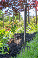 Pitchfork used for mulching in the garden