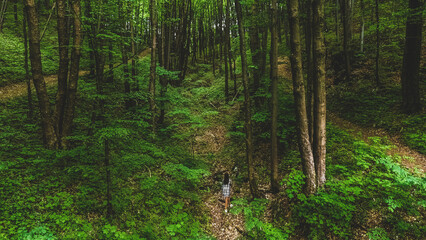 Fototapeta na wymiar A woman walking in the woods 