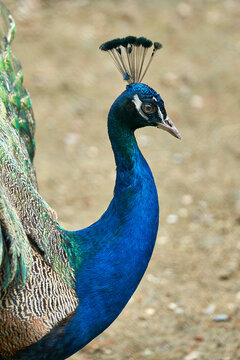 Wildtierpark Lueneburger Heide