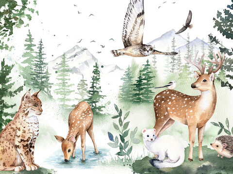 Watercolor woodland animals, cute deer, owl, lynx, hedgehog, ermine. Painted isolated hand drawn illustration.  Foggy forest landscape, nursery design, poster, postcard