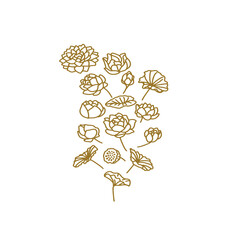 Pattern with flowers is a golden line. A beautiful print with a hand-drawn botanical pattern of exotic plants on the fabric. Simple seamless pattern design for wallpaper decoration. Vector.