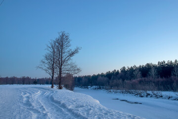 Fototapeta na wymiar Majestic winter landscape. Winter dawn with a lone tree on the bank of a frozen river.