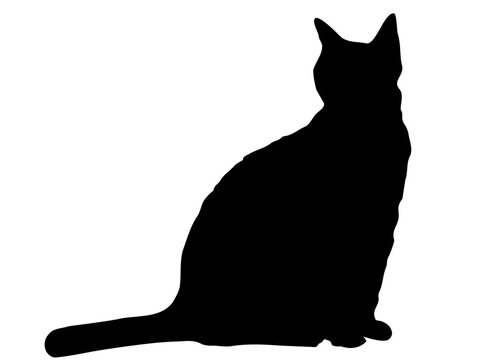 recommend clip art: Vector - Fluffy Cat Silhouette Sitting
