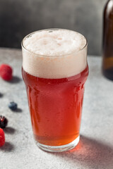 Cold Refreshing Berry Beer Shandy