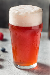 Cold Refreshing Berry Beer Shandy
