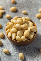 Raw Shelled Organic Macadamia Nuts