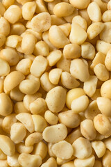 Raw Shelled Organic Macadamia Nuts