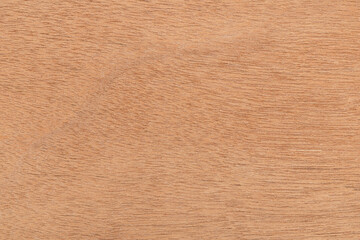 Fototapeta premium wood texture and brown wood grain