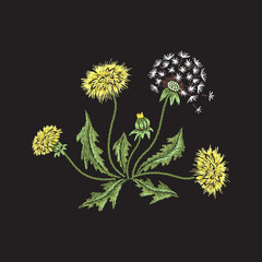 Embroidery floral pattern with realistic dandelions - 506903539