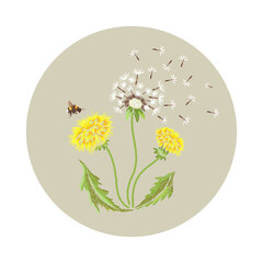 Embroidery floral pattern with dandelions and bee. - 506903540