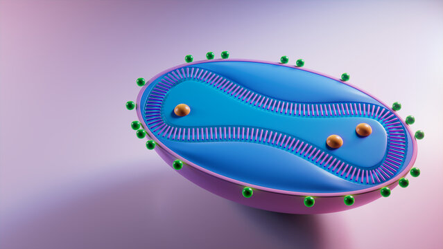 3D Illustration showing the Cell Structure of the Monkeypox Virus. 3D Render with Copy-Space.