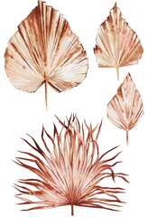 Watercolor illustration.set of  Tropical palm leaf on white background 