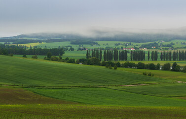 Fototapeta na wymiar Spring overcast Czech landscape with trees, agriculture field and fog after rain